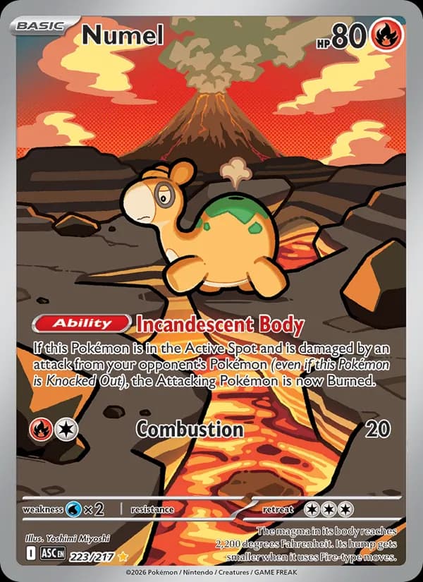 Numel