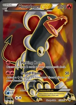 Houndoom EX card image